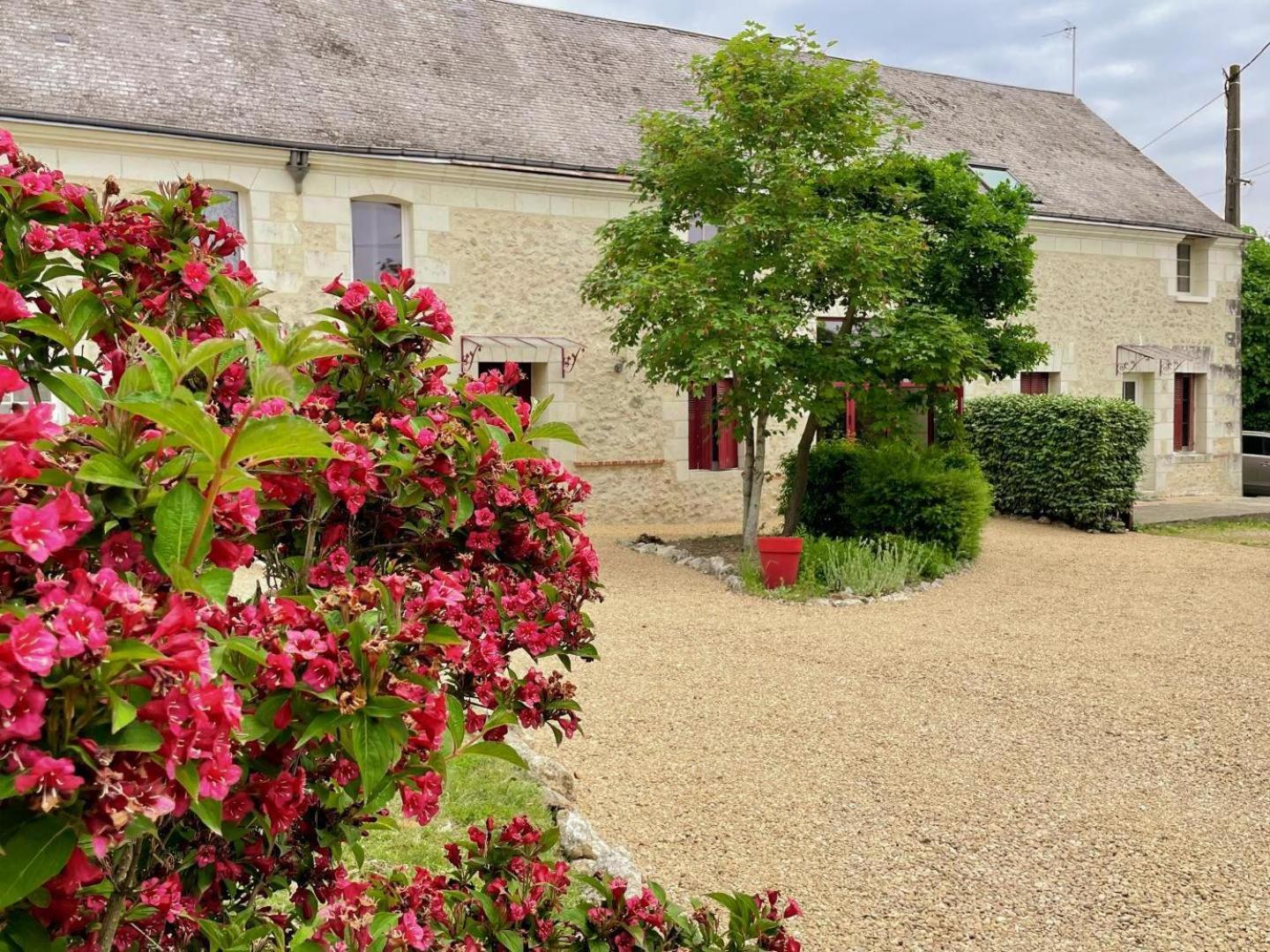 Au Domaine Du Bois Joubert Bed & Breakfast Luzille Exterior photo