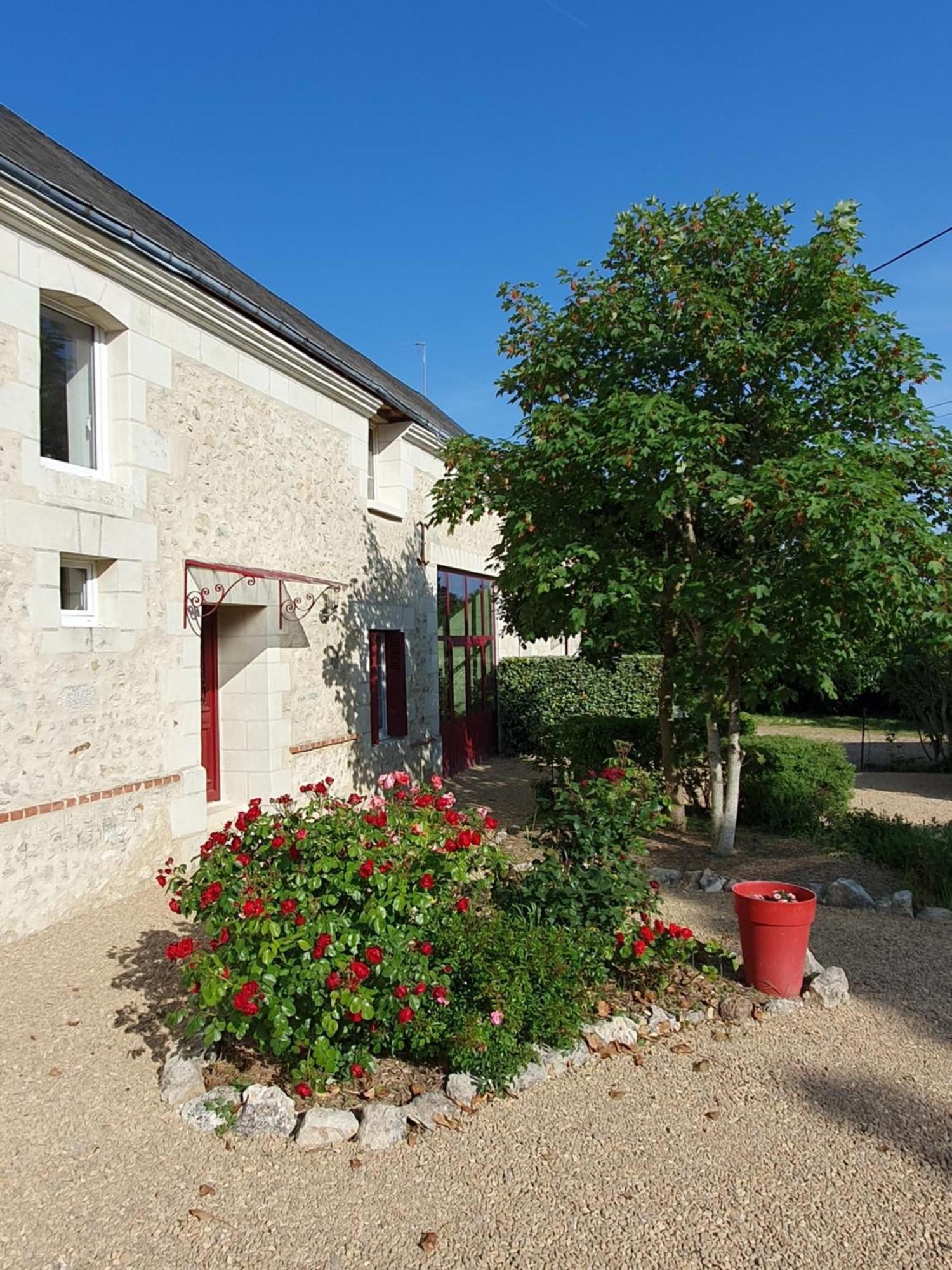 Au Domaine Du Bois Joubert Bed & Breakfast Luzille Exterior photo